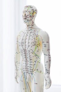 blog-acunpuncture-meridians (3)